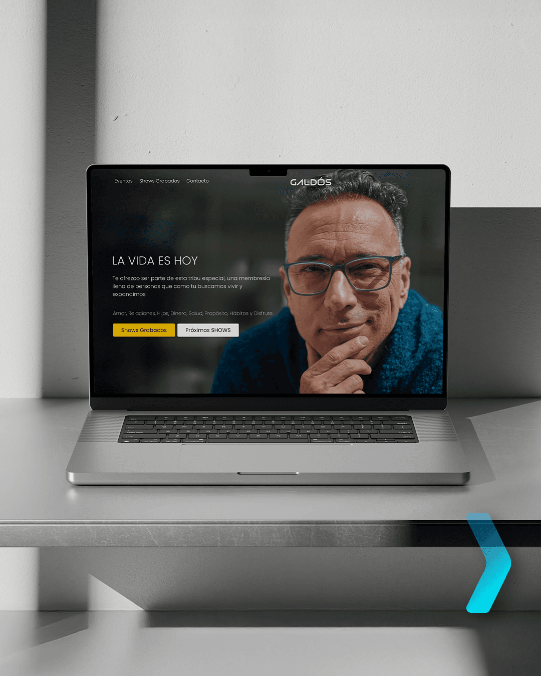 Website for Galdos, business website